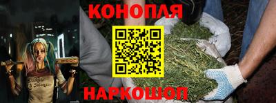 дурь Гатчина