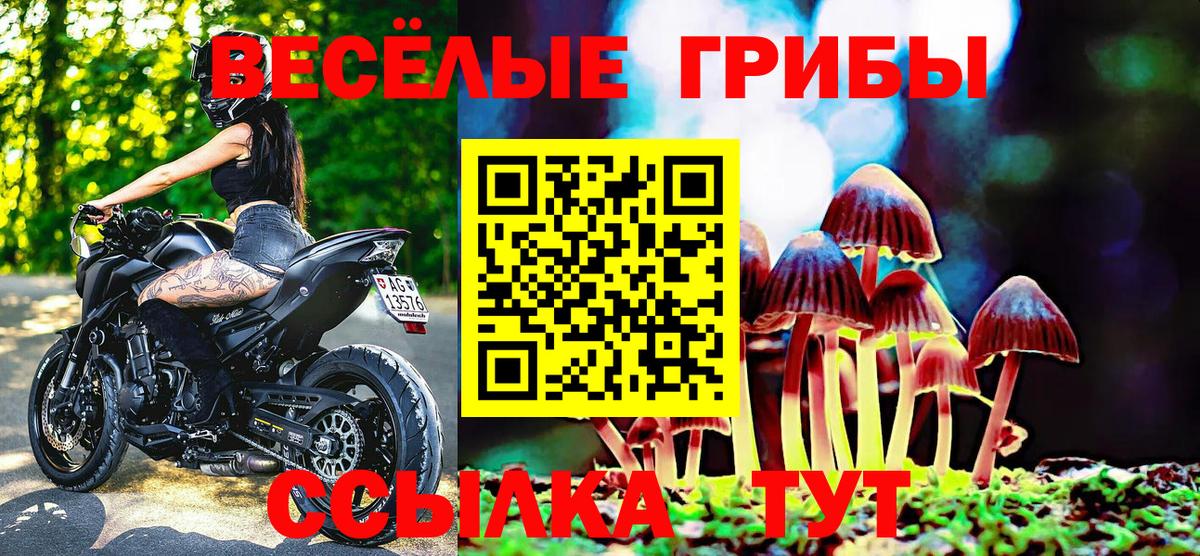 Псилоцибиновые грибы MAGIC MUSHROOMS Дивногорск